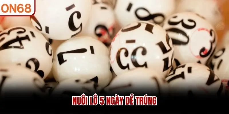 Nuôi lô 5 ngày dễ trúng